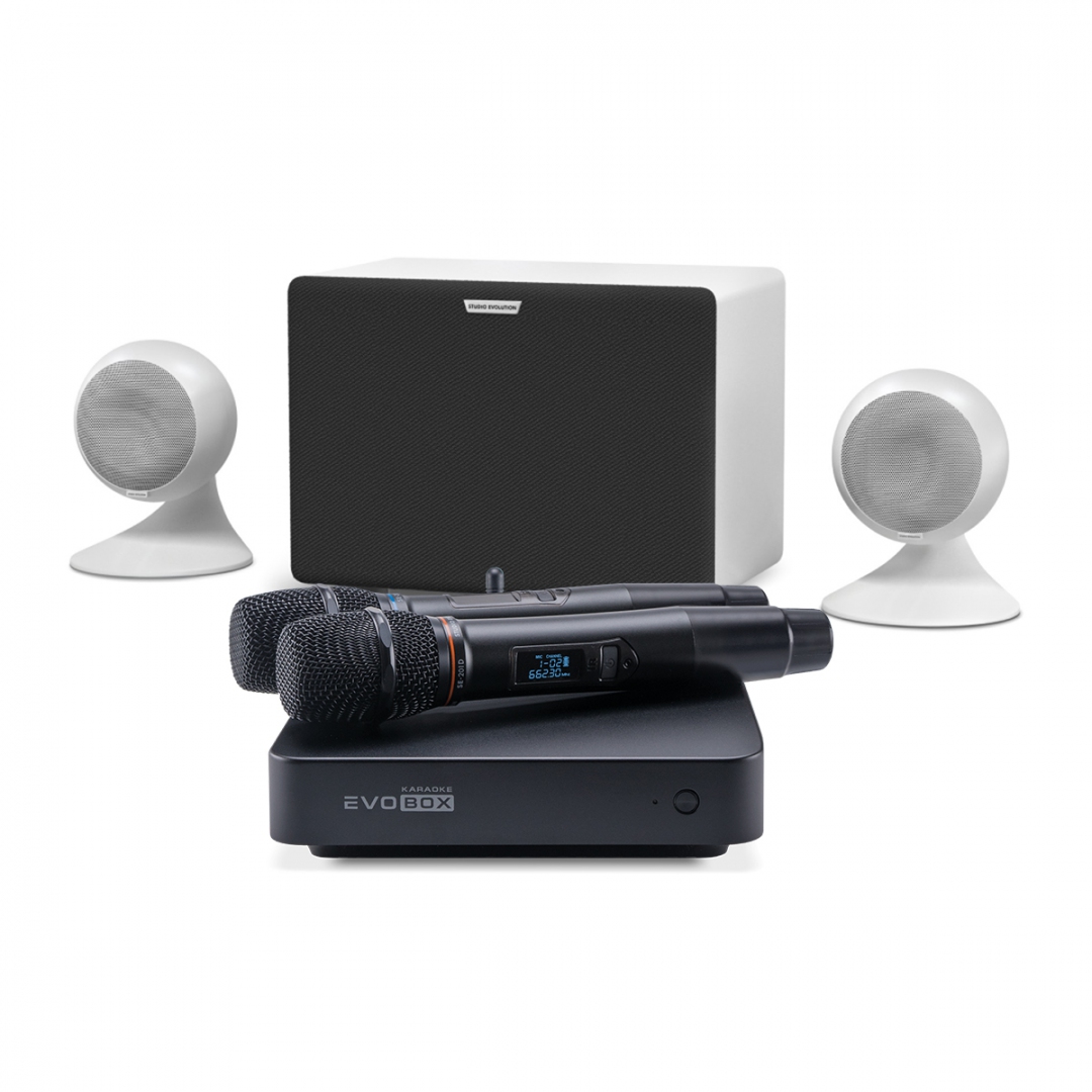 караоке-комплект EVOBOX Classic + EvoSound Sphere 2.1 в Ступино