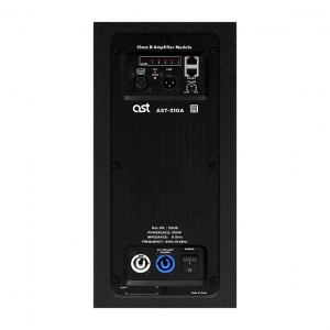 Активная акустическая система AST-310A в Ступино